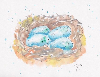 Picture of AQUA EGGS