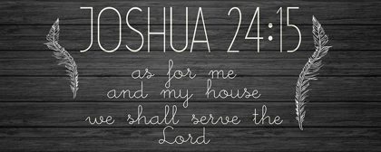 Picture of JOSHUA 24 15