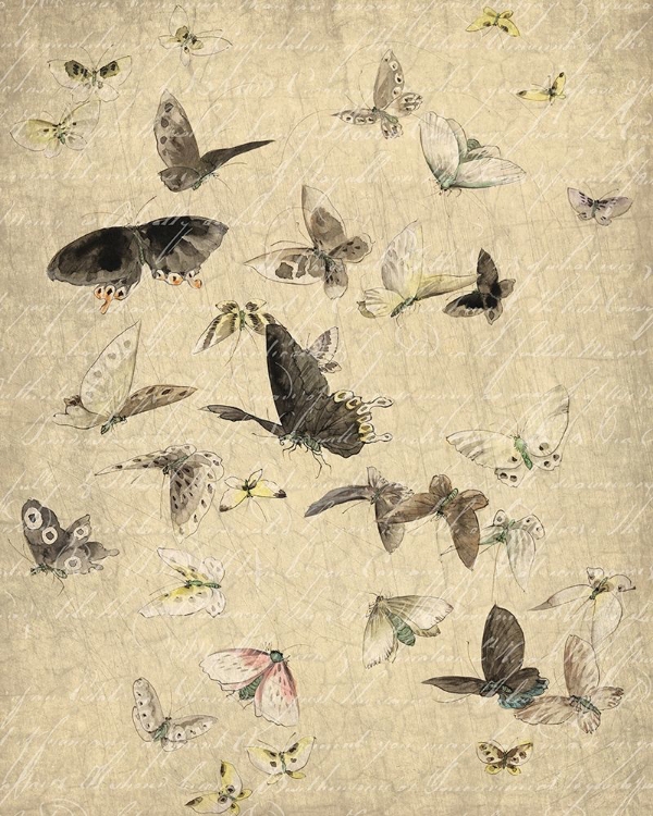 Picture of BUTTERFLIES IN FLIGHT 1