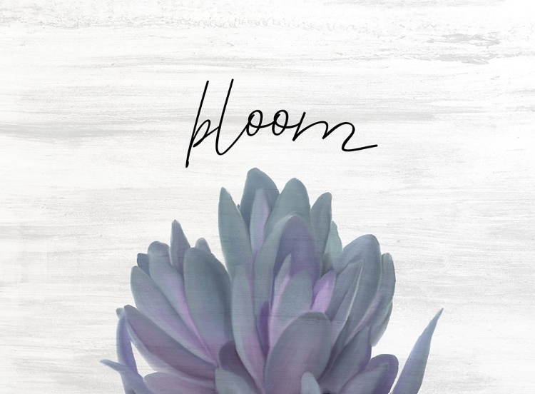 Picture of BLOOM