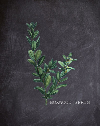 Picture of BLACKBOARD BOTANICAL 1