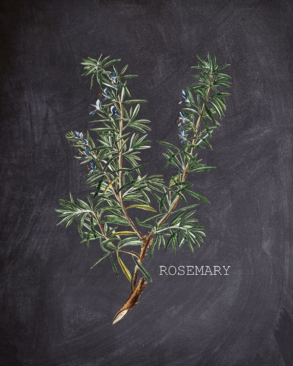 Picture of BLACKBOARD HERBS 2