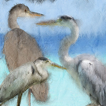 Picture of HERONS