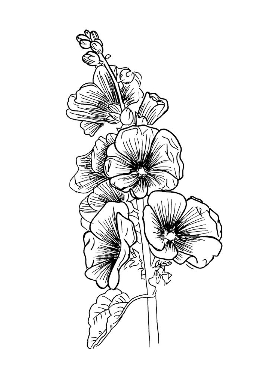 Picture of LINED FLOWERS