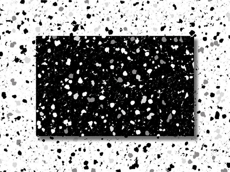 Picture of BLACK WHITE SPECKLES