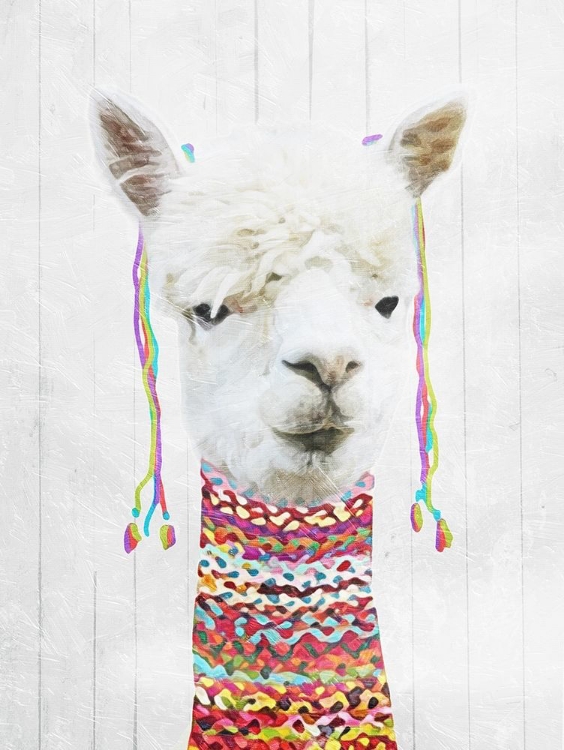 Picture of DRESSED LLAMA