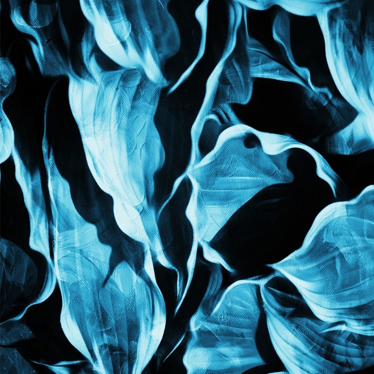 Picture of BLUE HUE LEAVES