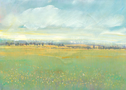 Picture of SOFT MEADOW LIGHT II