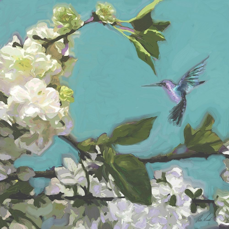 Picture of HUMMINGBIRD FLORALS I