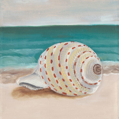 Picture of SHE SELLS SEASHELLS II