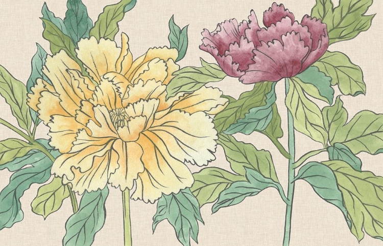 Picture of PEONY BLOOMS II