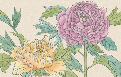 Picture of PEONY BLOOMS III