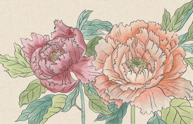 Picture of PEONY BLOOMS IV