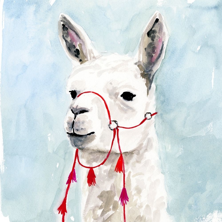 Picture of WATERCOLOR LLAMA II