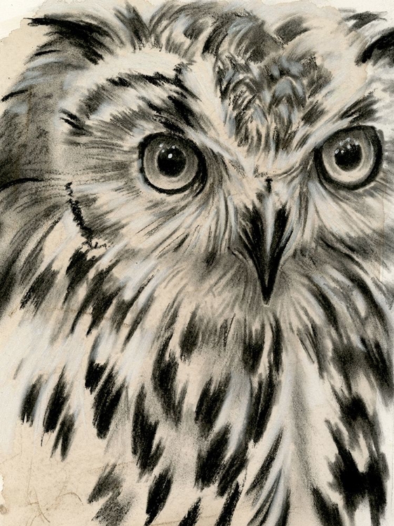 Picture of CHARCOAL OWL I