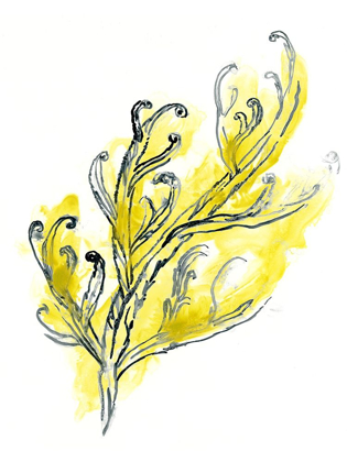 Picture of CITRON SEA KELP III