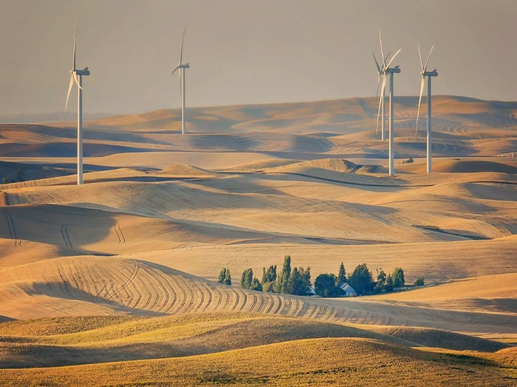 Picture of FARM AND FIELD IV