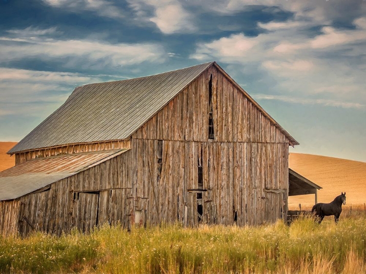 Picture of FARM AND FIELD VI