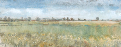 Picture of OPEN FIELD II