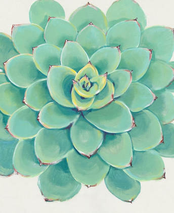 Picture of PASTEL SUCCULENT III