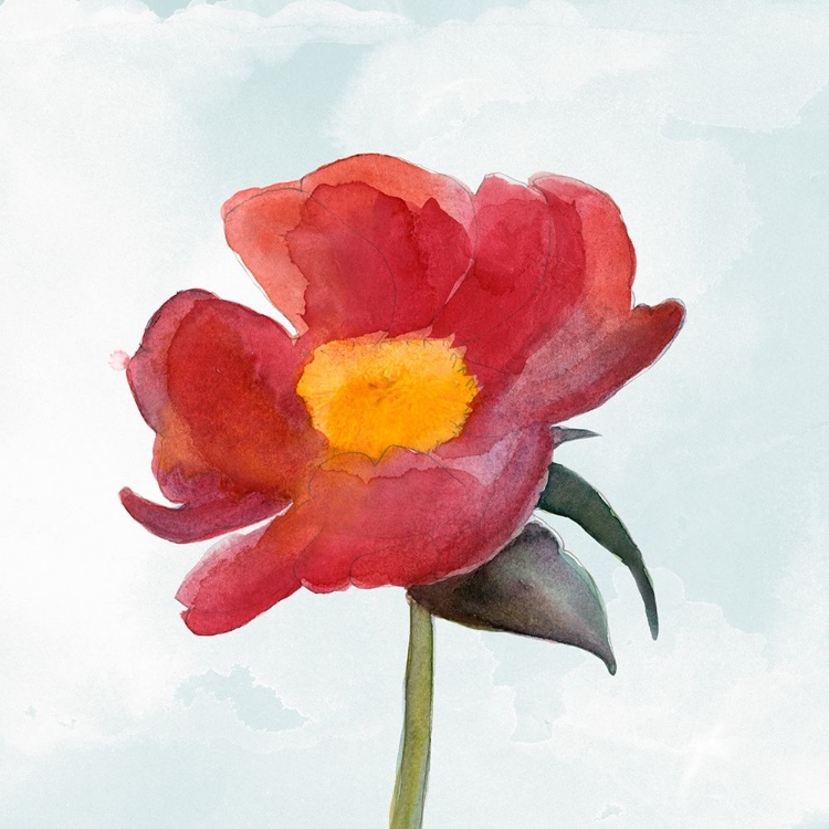 Picture of JOYFUL PEONY I