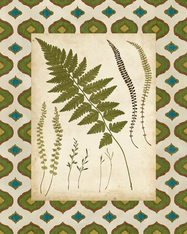 Picture of MOROCCAN FERNS II