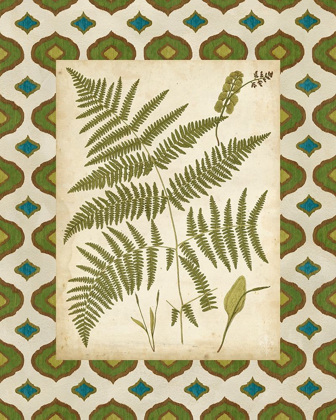 Picture of MOROCCAN FERNS IV