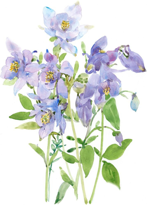 Picture of COLUMBINE SPRAY I