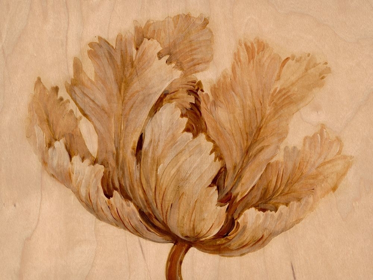 Picture of SEPIA TULIP ON BIRCH I