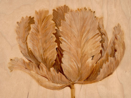 Picture of SEPIA TULIP ON BIRCH II