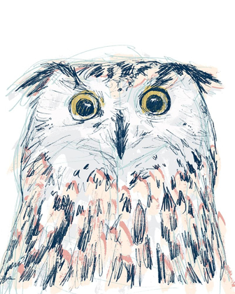 Picture of FUNKY OWL PORTRAIT II