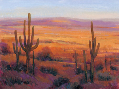 Picture of DESERT LIGHT II