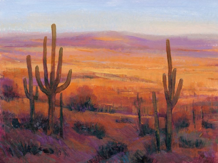 Picture of DESERT LIGHT II