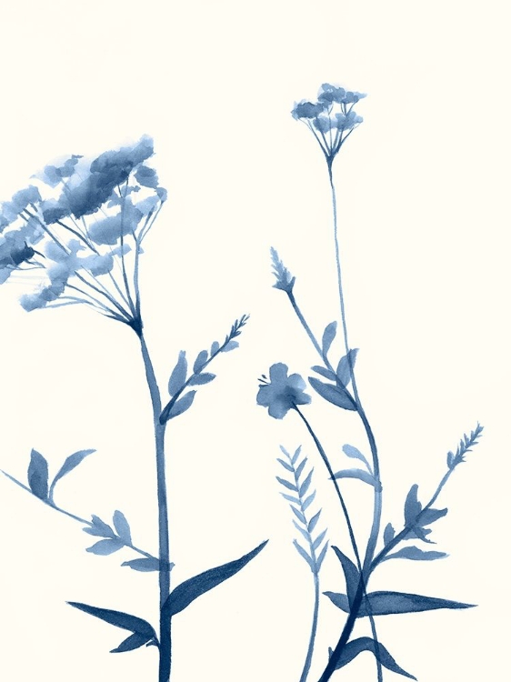 Picture of INDIGO WILDFLOWERS I