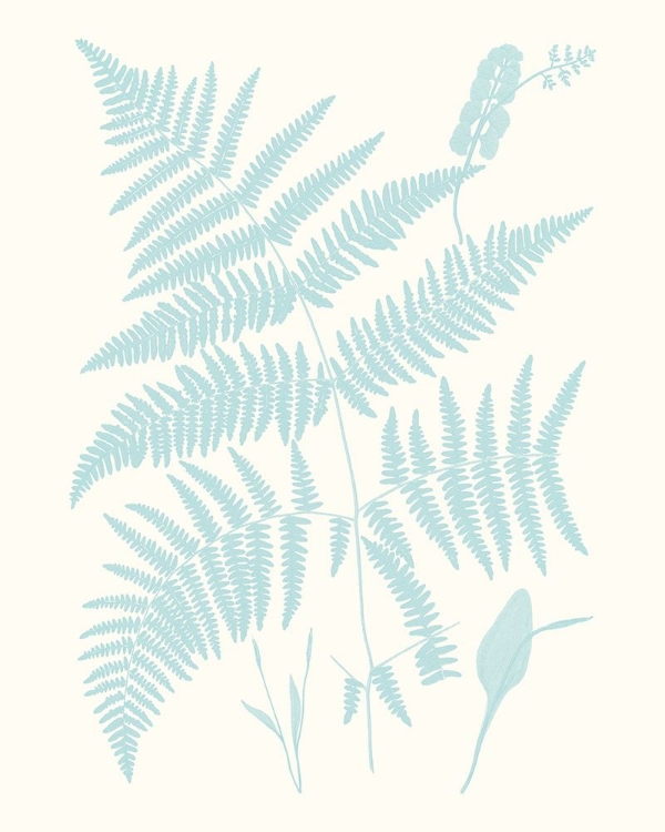 Picture of SERENE FERNS I