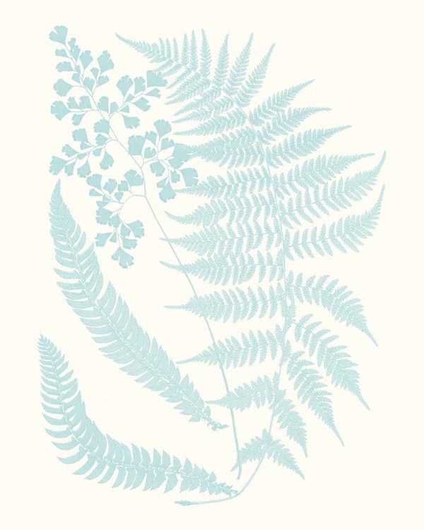 Picture of SERENE FERNS II