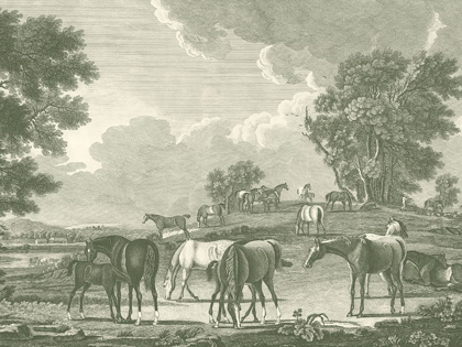 Picture of EQUESTRIAN SCENES I