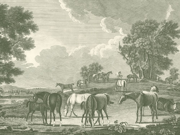 Picture of EQUESTRIAN SCENES I