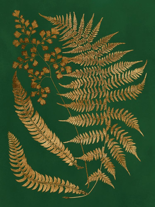 Picture of GILDED FERNS I