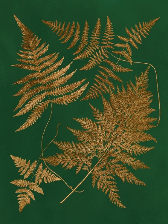 Picture of GILDED FERNS II