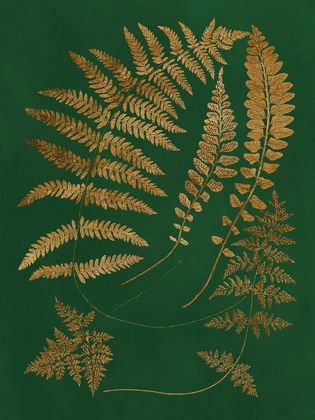 Picture of GILDED FERNS III