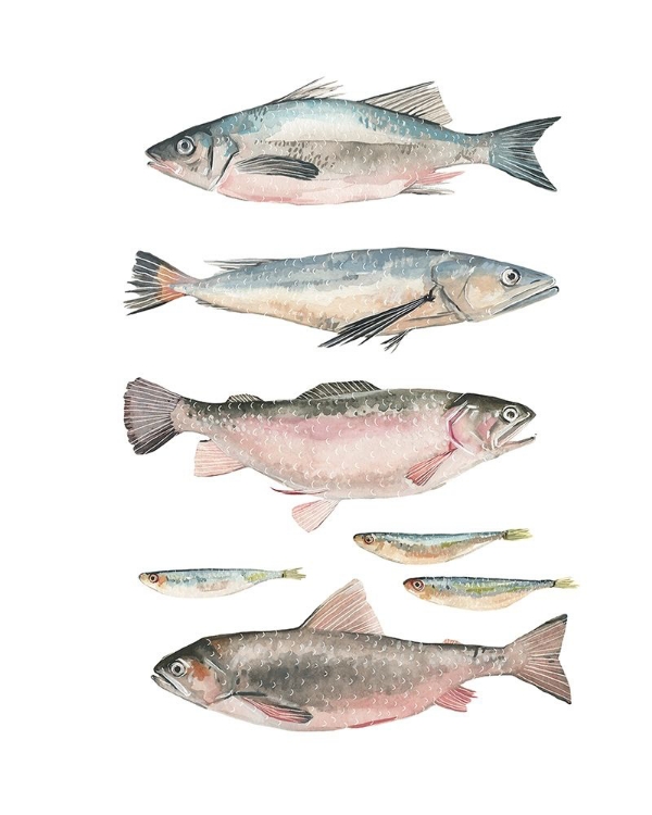 Picture of FISH COMPOSITION I