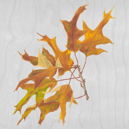 Picture of AUTUMN LEAVES III