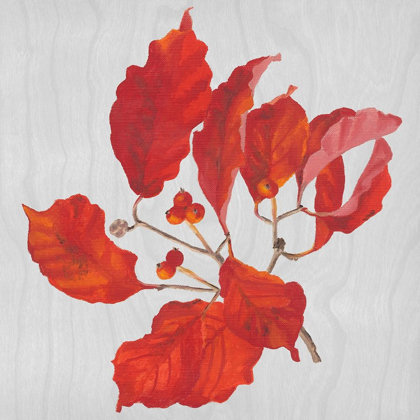 Picture of AUTUMN LEAVES VI