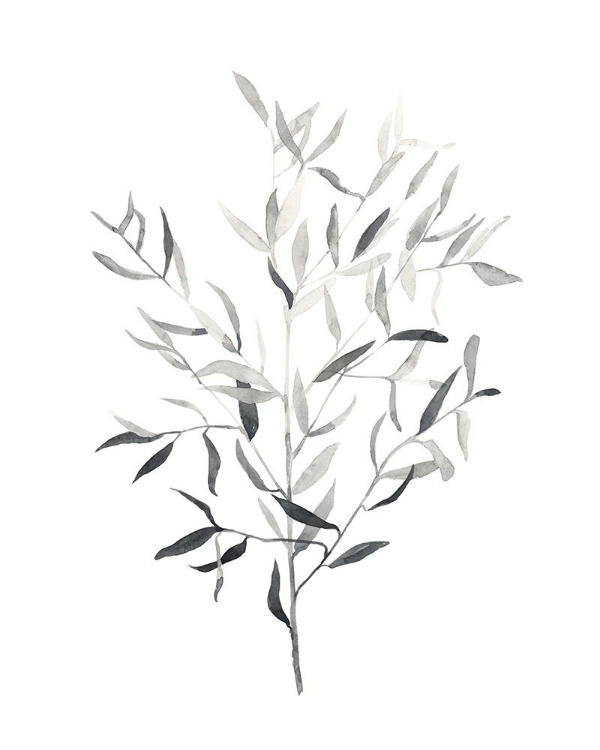 Picture of PAYNES GREY BOTANICALS III