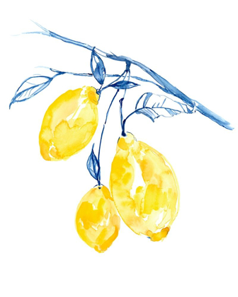 Picture of WATERCOLOR LEMONS II