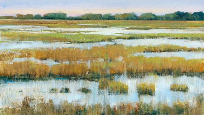 Picture of SERENE MARSHLAND I