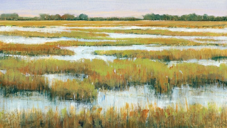 Picture of SERENE MARSHLAND II