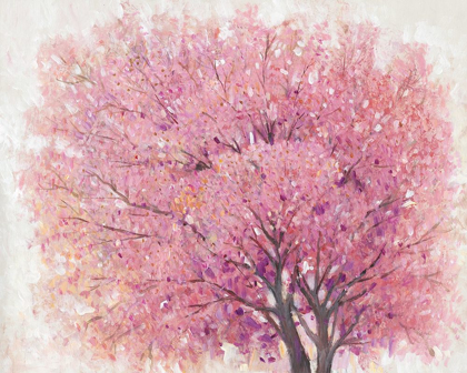 Picture of PINK CHERRY BLOSSOM TREE II