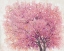 Picture of PINK CHERRY BLOSSOM TREE II